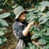 Costa Rica Tarrazu Don Felix, 200g