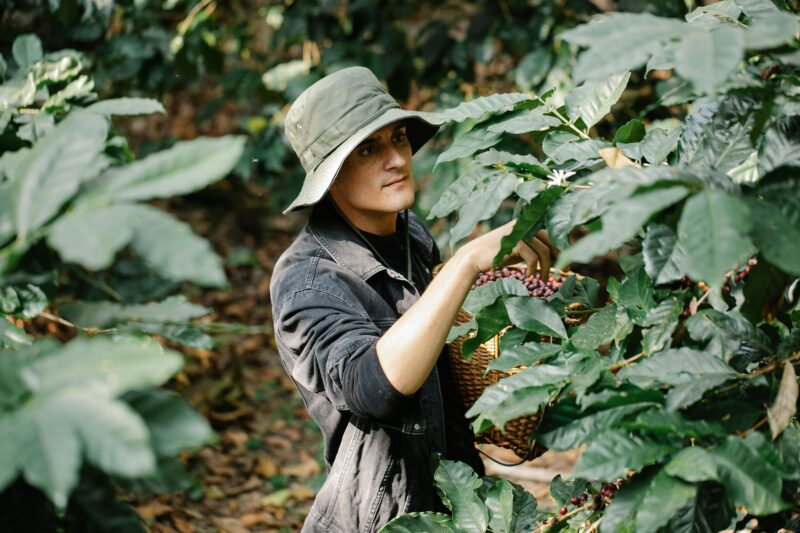 Costa Rica Tarrazu Don Felix, 200g